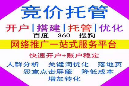 某某sem代运营公司成功案例：提高转化率